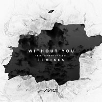 Without You [Remixes]