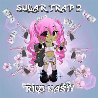 Přední strana obalu CD Sugar Trap 2