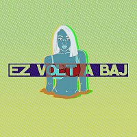 Ez volt a baj