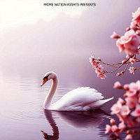 White Mozart – Deep Echo