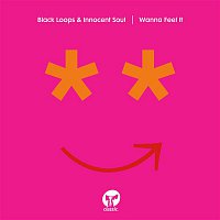 Přední strana obalu CD Wanna Feel It