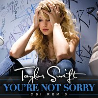 Taylor Swift – You're Not Sorry [CSI Remix]