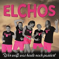 Elchos – Wer weiß was heute noch passiert