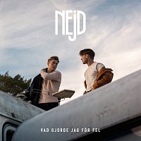 NEjD – Vad gjorde jag for fel