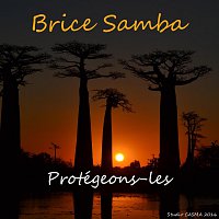 Přední strana obalu CD Brice Samba