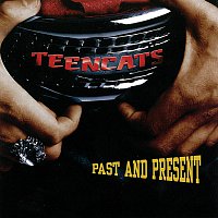Teencats – Past And Present