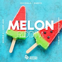 Různí interpreti – Melon Riddim