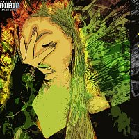 Přední strana obalu CD Куш