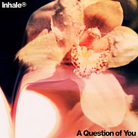 Inhaler – A Question of You
