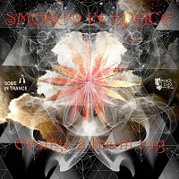 Smoked In Space – Orange a burnt rug