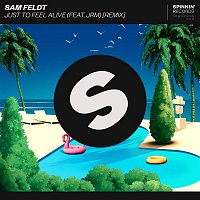 Sam Feldt – Just To Feel Alive (feat. JRM) [Remix]