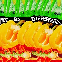 AI – Not So Different