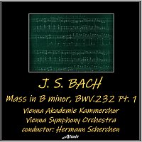 Vienna Symphony Orchestra, Vienna Akademie Kammerchor – J. S. BACH: Mass in B minor, BWV.232
