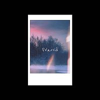Přední strana obalu CD Polaroid