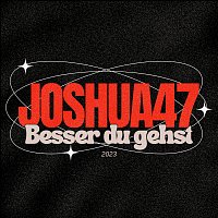 Joshua47 – Besser du gehst