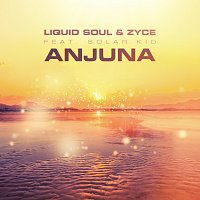 Přední strana obalu CD Anjuna