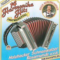 Přední strana obalu CD 14 Harmonika Hits Instrumental