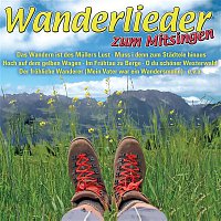 Various  Artists – Wanderlieder zum Mitsingen