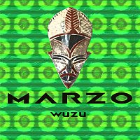 Přední strana obalu CD Wuzu