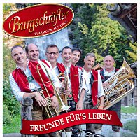 Burgschrofler – Freunde fur's Leben - Instrumental