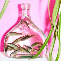 Přední strana obalu CD Like So Much Desire