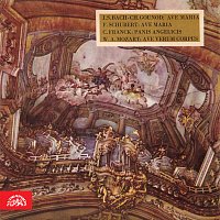 Orchestr Dalibora Brázdy – J.S.Bach-Ch.Gounod: Ave Maria, F.Schubert: Ave Maria, C.Franck: Panis angelicus, W.A.Mozart: Ave verum corpus MP3