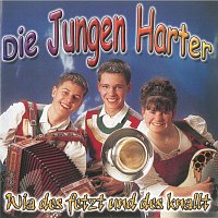 Die jungen Harter – Wia des fetzt und des knallt