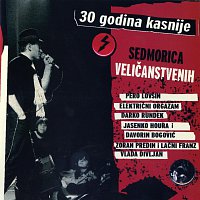 Sedmorica velicanstvenih/ 30 godina kasnije