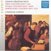 Gustav Leonhardt – J.S. Bach: Concertos