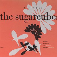 The Sugarcubes – Birthday