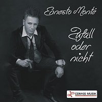 Přední strana obalu CD Zufall oder nicht