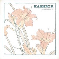 Kashmir – The Aftermath