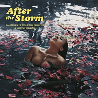 Přední strana obalu CD After The Storm