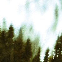 Felly – Wood v2