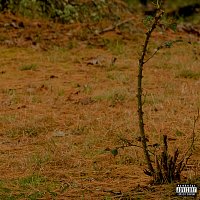 glaive – eyesore