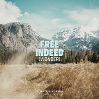 Citipointe Worship – Free Indeed (Wonder) [Live]
