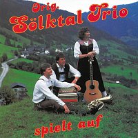 Original Solktal Trio – Original Sölktal Trio spielt auf