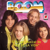 The Boom – El Grupo Musical De "Así Es La Vida"