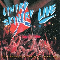 Southern By The Grace Of God- Lynyrd Skynyrd Tribute Tour - 1987