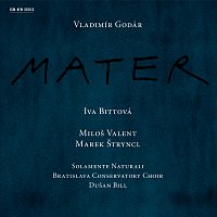 Přední strana obalu CD Godár: Mater