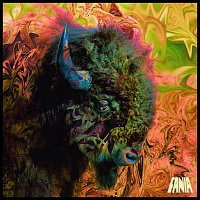 Timothy The Master – Buffalo Beat EP