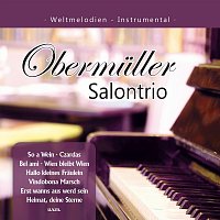 Přední strana obalu CD Weltmelodien - Instrumental