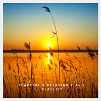 Chris Snelling, Nils Hahn, Max Arnald, Qualen Fitzgerald, Amy Mary Collins – Peaceful and Relaxing Piano Playlist