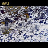 Přední strana obalu CD Salt