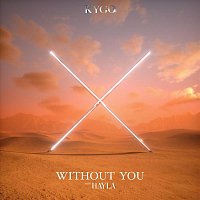Kygo & HAYLA – Without You
