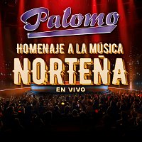 Palomo – Homenaje A La Música Nortena En Vivo