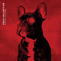 Přední strana obalu CD Wanna Change