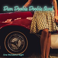 Dum Doobie Doobie Band – One Wonderful Night