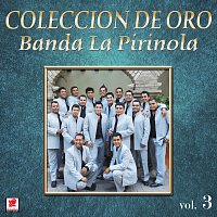 Přední strana obalu CD Colección de Oro, Vol. 3