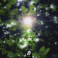 Cat Paw, Lo-Fi Tigers – Komorebi
